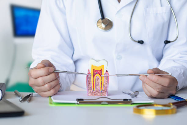 Best Emergency Denture Repair in Guntown, MS